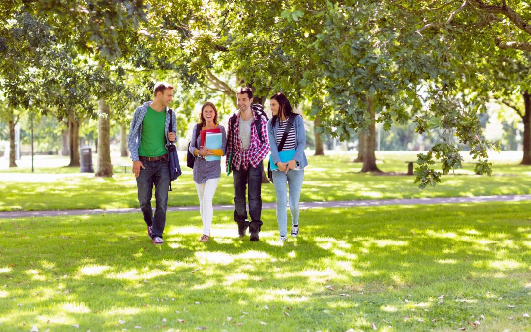 Continuing Education: Why Lifelong Learning is Key to Career Success